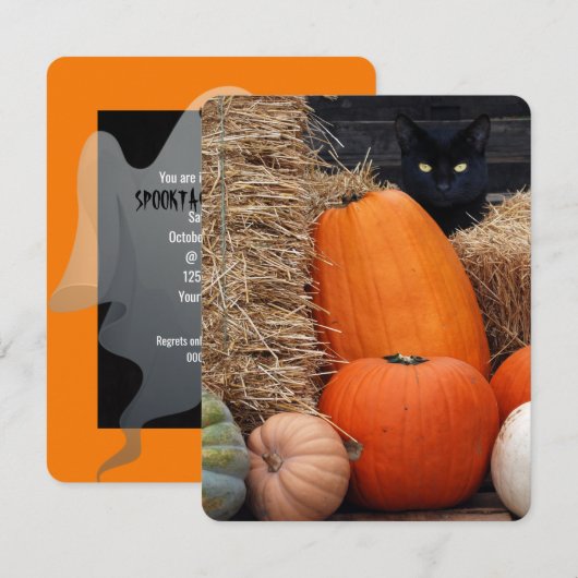 Black Cat and Pumpkins Halloween party Kaart (Voorkant / Achterkant)