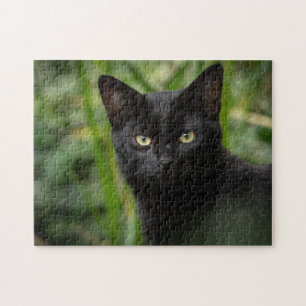 Black Cat Animal Jigzaag Puzzle Legpuzzel