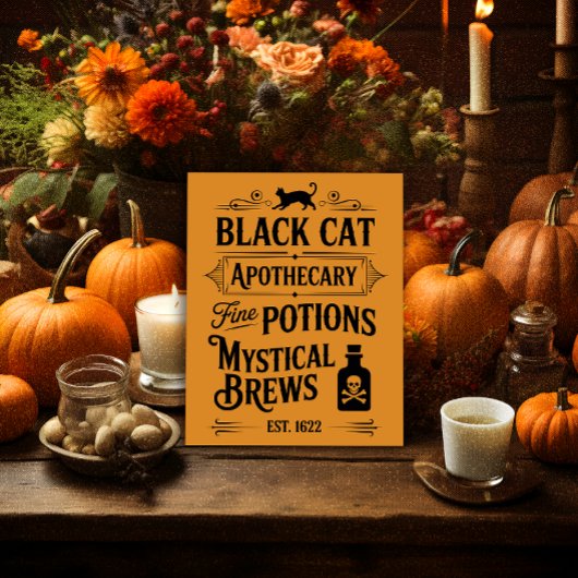 Black Cat Apothecary Sinaasappel Poster