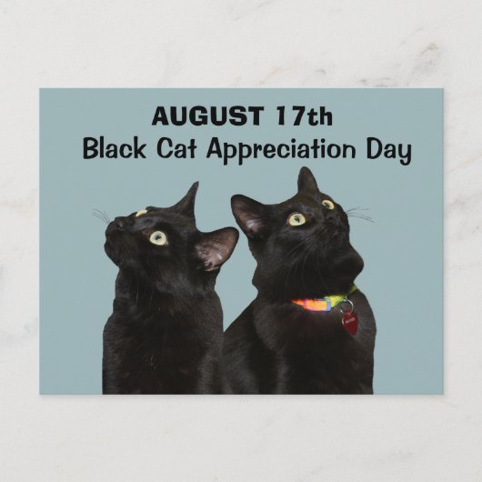 Black Cat Appreciation Day Briefkaart (Voorkant)