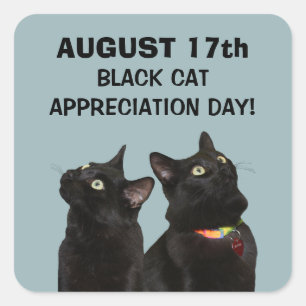 Black Cat Appreciation Day Stickers