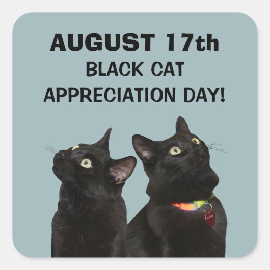 Black Cat Appreciation Day-Stickers Vierkante Sticker (Voorkant)