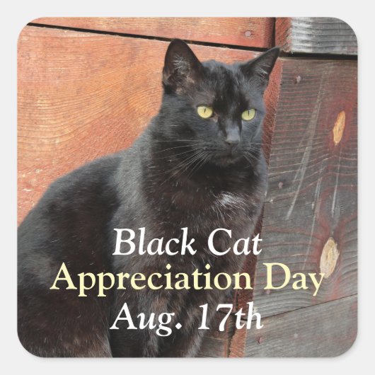 Black Cat Appreciation Stickers (Voorkant)