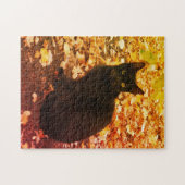 Black Cat Aurtumn-bladeren Foto Legpuzzel (Horizontaal)