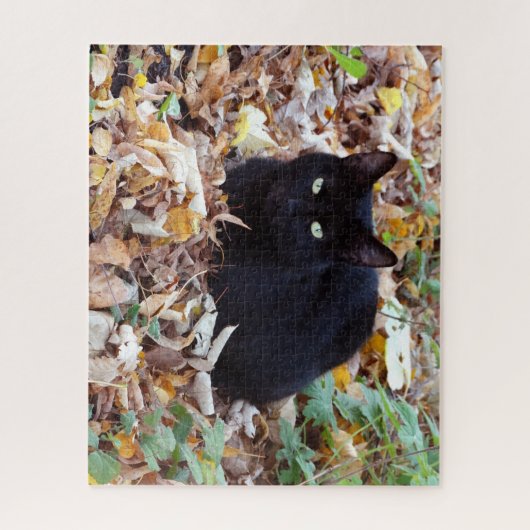 Black Cat Aurtumn-foto Legpuzzel (Verticaal)