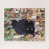 Black Cat Aurtumn-foto Legpuzzel (Horizontaal)