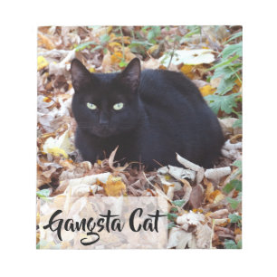 Black cat Autumn bladeren Foto Notitieblok - 40 pa