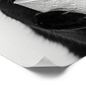 Black Cat Bathroom Print, Cat Holding Toilet Roll, Poster (Hoek)