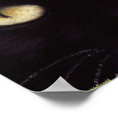 Black Cat Big Eyes Poster (Hoek)