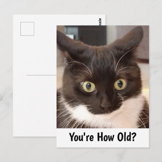 Black Cat Birthday Briefkaart (Voorkant / Achterkant)