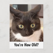 Black Cat Birthday Briefkaart (Voorkant)