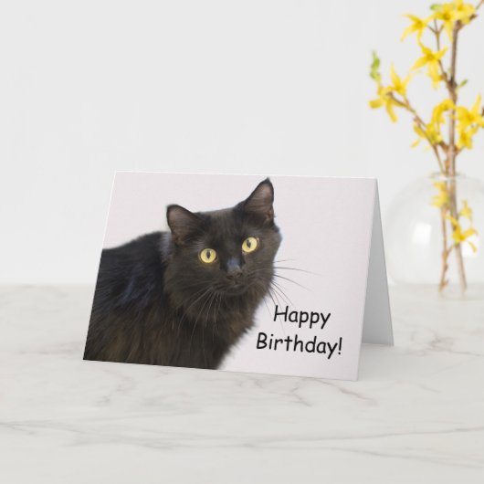 Black Cat Birthday Kaart beroemd gemaakt door Focu (Gele Bloem)