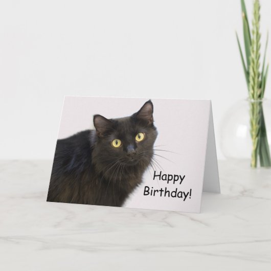 Black Cat Birthday Kaart beroemd gemaakt door Focu (Voorkant)