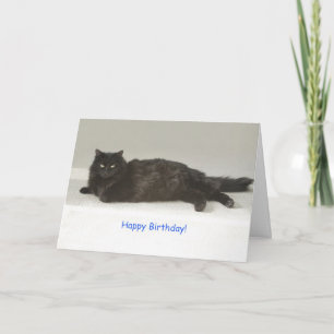 Black Cat Birthday-kaart met focus voor een goed d Kaart