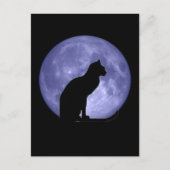 Black Cat Blue Moon Briefkaart (Voorkant)