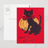 Black Cat Bowtie Pumpkin  Briefkaart (Voorkant / Achterkant)