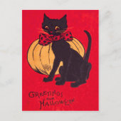 Black Cat Bowtie Pumpkin  Briefkaart (Voorkant)