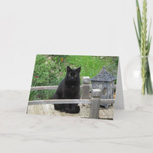 Black Cat Bridge Happy Birthday Kaart