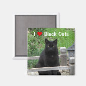 Black Cat Bridge I Love Black Cats Magnet (Voorkant / Achterkant)