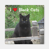 Black Cat Bridge I Love Black Cats Magnet (Voorkant)