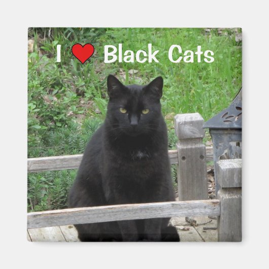 Black Cat Bridge I Love Black Cats Magnet (Voorkant)