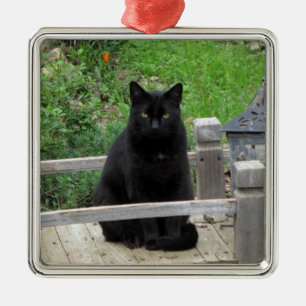 Black Cat Bridge-Ornament Metalen Ornament