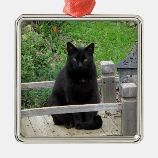 Black Cat Bridge-Ornament Metalen Ornament (Voorkant)