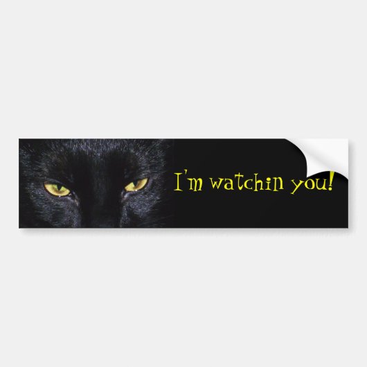 Black Cat Bumpersticker (Voorkant)