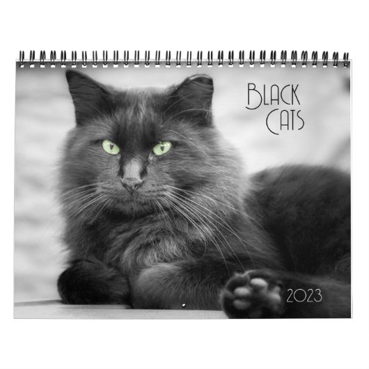 Black Cat Calendar Kalender (Hoes)