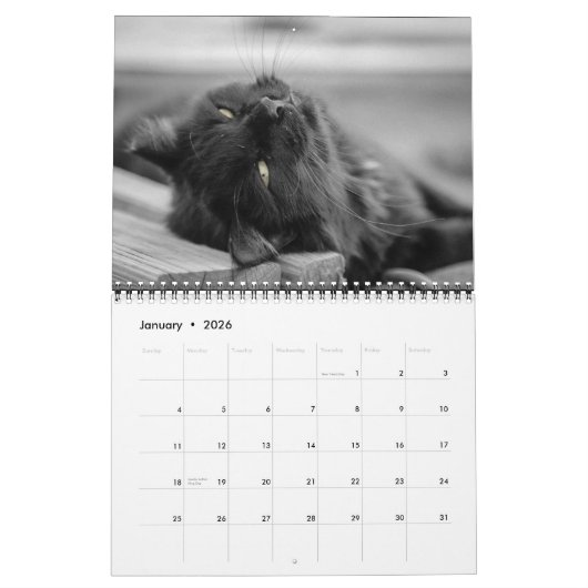 Black Cat Calendar Kalender (Jan 2026)