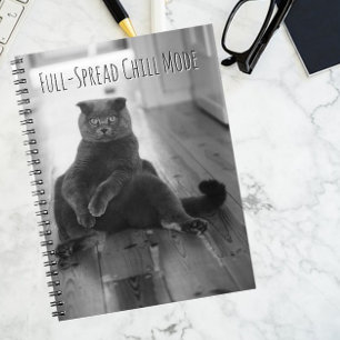  Black Cat Chilling Notitieboek