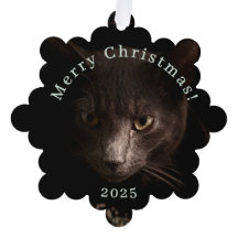 Black Cat Christmas Label en