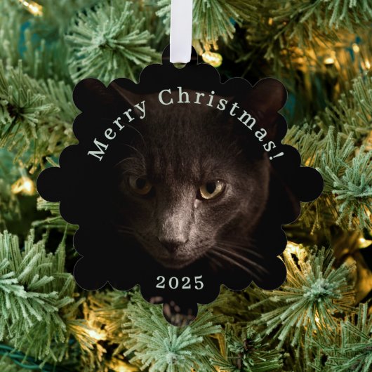 Black Cat Christmas Label en Ornament Kaart (Insitu (Drie))