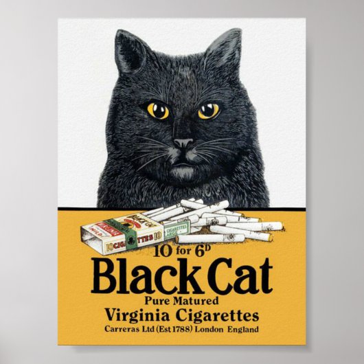 Black Cat Cigarettes Poster (Voorkant)