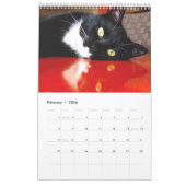 Black Cat Club Calendar vol. 1 Kalender (Feb 2026)