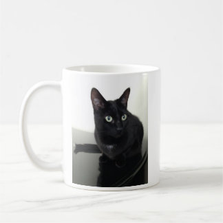 Black Cat Coffee Cup Koffiemok
