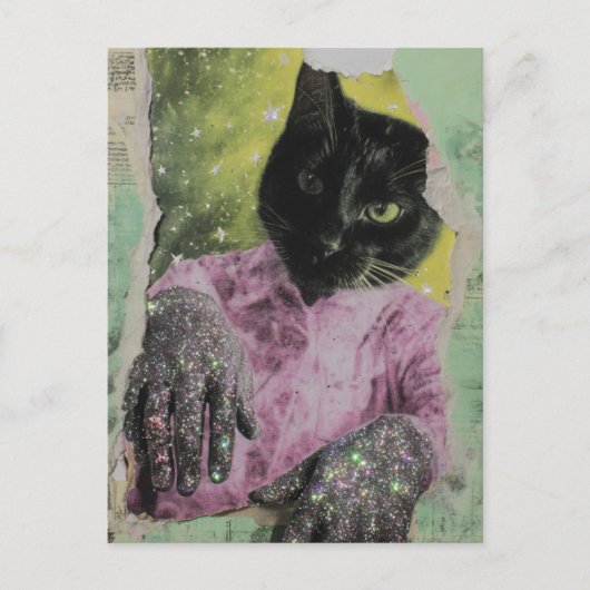 Black Cat Collage Briefkaart (Voorkant)
