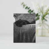 Black Cat Comfy-Briefkaarten Briefkaart (Staand voorkant)