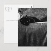 Black Cat Comfy-Briefkaarten Briefkaart (Voorkant / Achterkant)