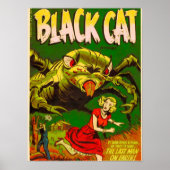 Black Cat Comic book The Darling of Comics Poster (Voorkant)