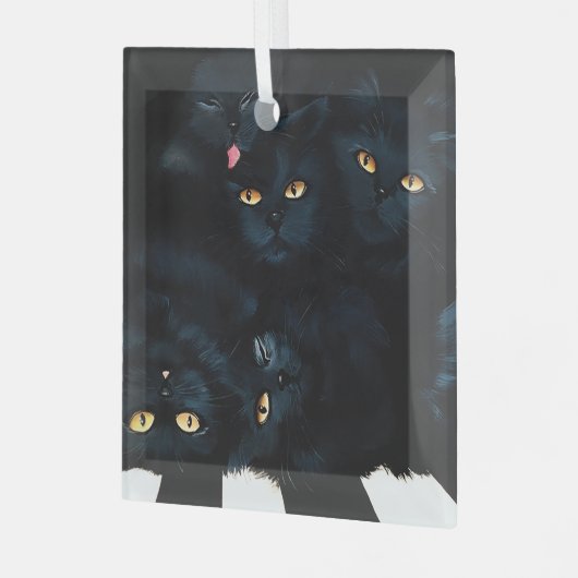 Black Cat Cuddle Glas Ornament (Voorkant links)