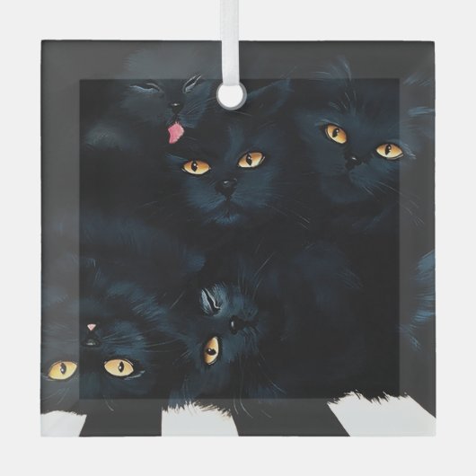 Black Cat Cuddle Glas Ornament (Voorkant)