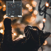 Black Cat Cuddle Glas Ornament