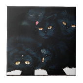 Black Cat Cuddle Tegeltje (Voorkant)