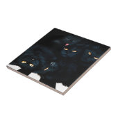 Black Cat Cuddle Tegeltje (Zijkant)