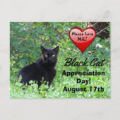 Black Cat Day of Appreciation Briefkaart (Voorkant)
