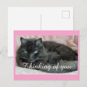 Black Cat denkt aan jou Briefkaart (Voorkant / Achterkant)