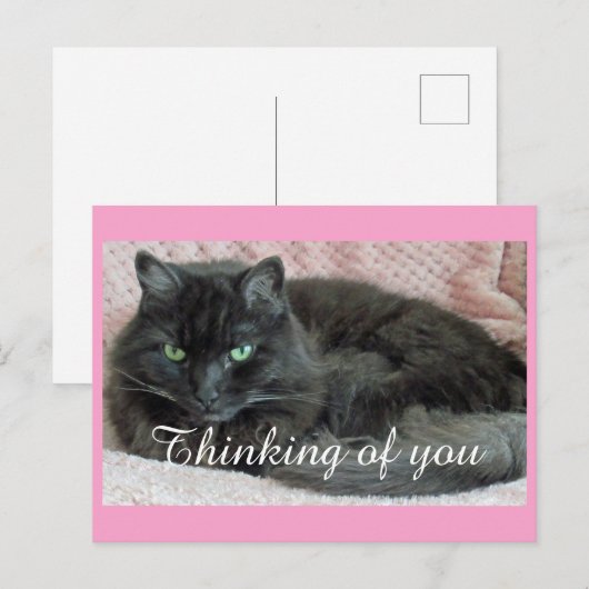 Black Cat denkt aan jou Briefkaart (Voorkant / Achterkant)