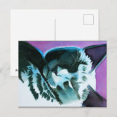 Black Cat Dozing Briefkaart (Voorkant / Achterkant)