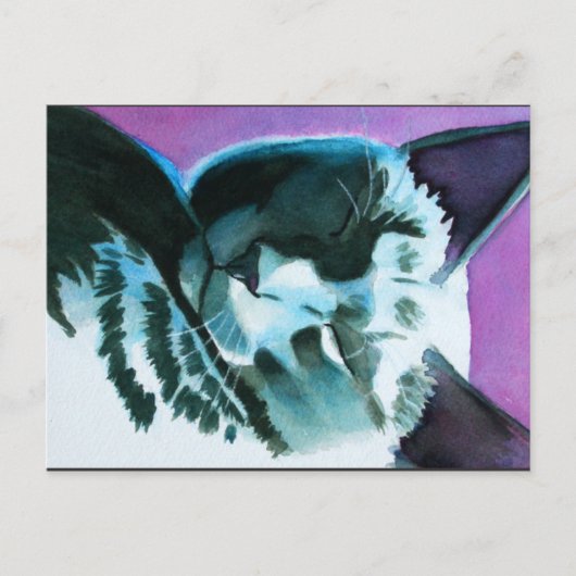 Black Cat Dozing Briefkaart (Voorkant)
